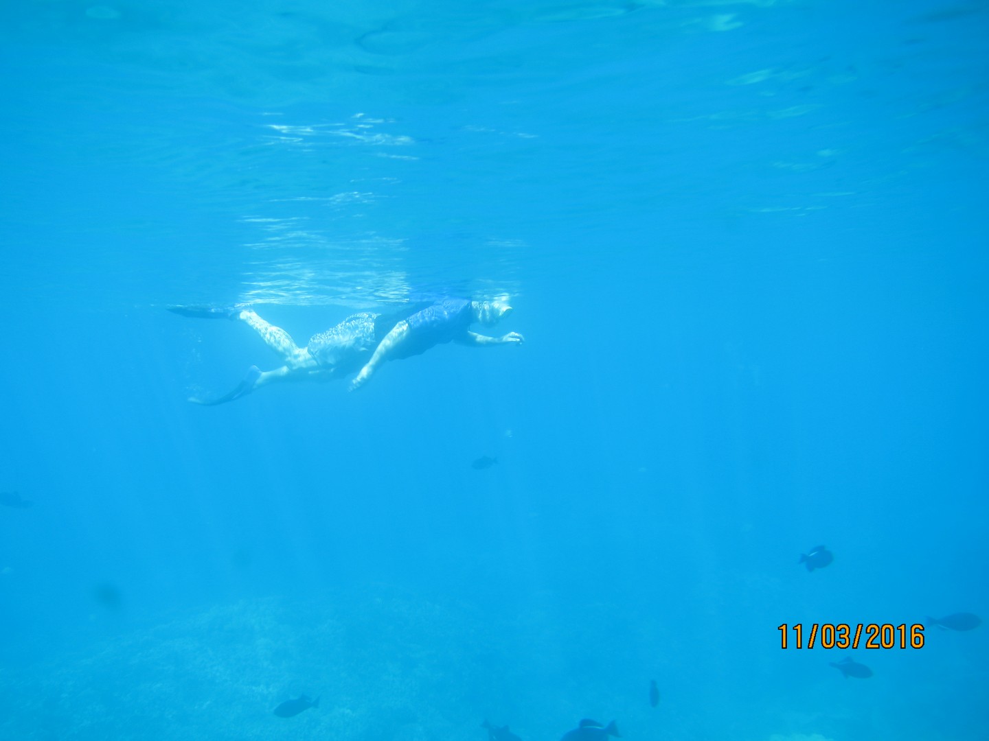 Snorkeling1