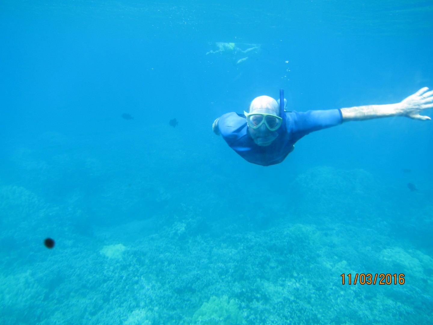 Snorkeling3